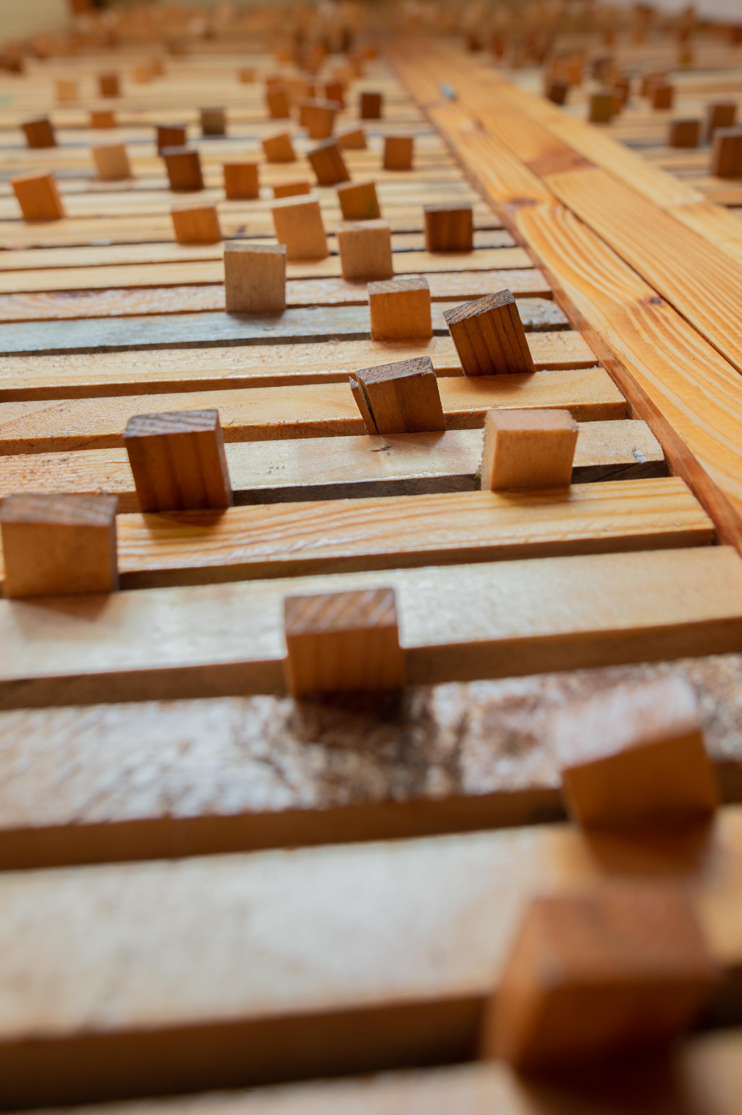 Lattis lattis/photos/07.jpg